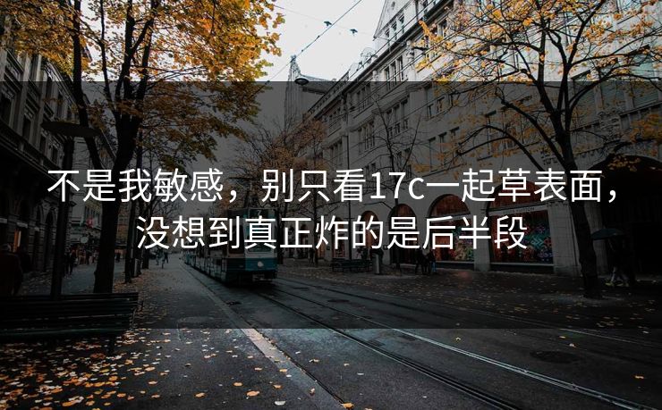 不是我敏感，别只看17c一起草表面，没想到真正炸的是后半段