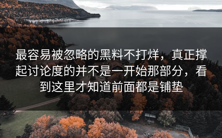 最容易被忽略的黑料不打烊，真正撑起讨论度的并不是一开始那部分，看到这里才知道前面都是铺垫