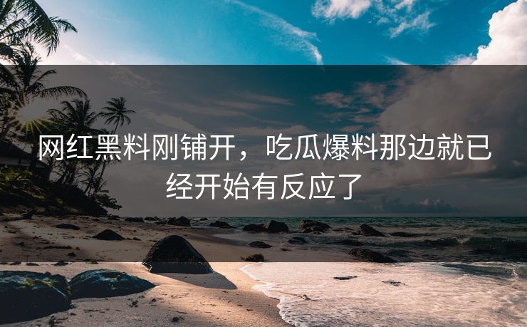 网红黑料刚铺开，吃瓜爆料那边就已经开始有反应了