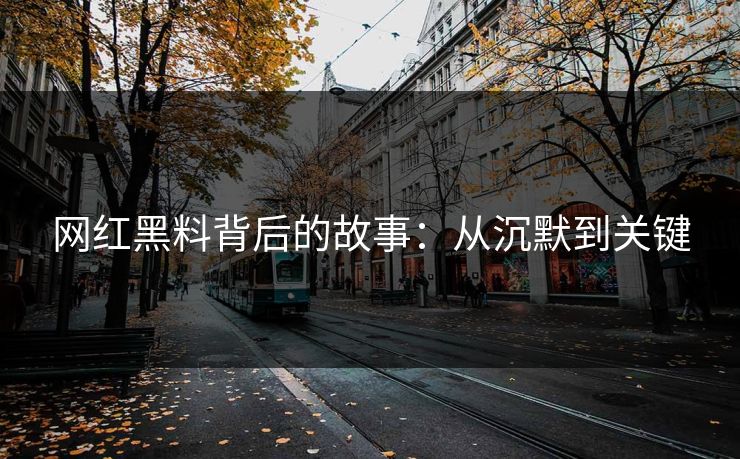 网红黑料背后的故事：从沉默到关键